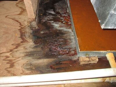 About water damage restoration service - basement flood restoration services experts in Charlton